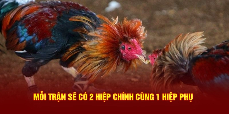 Mỗi trận sẽ có 2 hiệp chính cùng 1 hiệp phụ
